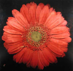 RedDaisy48x48_EM