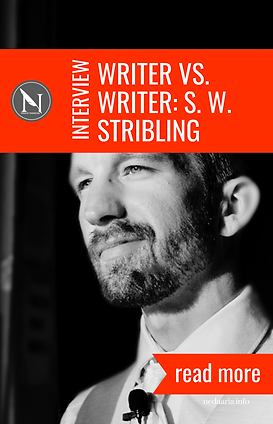 Interview with author S W Stribling