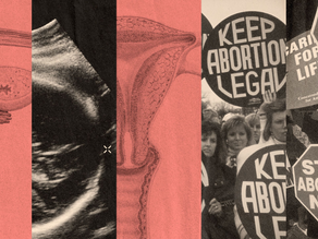 Abortion Policies and Tactics of Media Manipulation Unveiled – Are Are You Falling for Them?