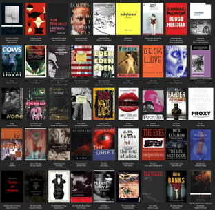 Defining Post Transgressive Fiction