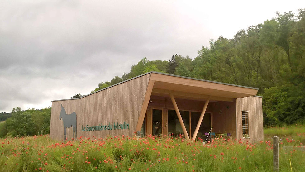 giacomazzi architecte nancy thionville
