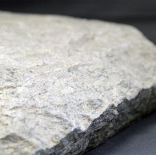 Itacomoly Irregular Tacca