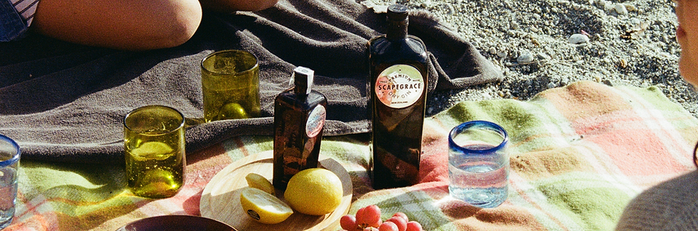 SG GIN SLIDE BACKGROUND.png