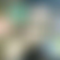 Rotterdam: Sending postcards to battle loneliness among the elderly 