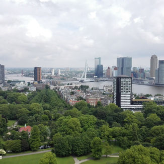 A wish, from Rotterdam