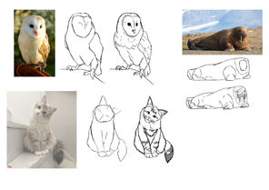 CRI28_Muhammad Yusuf Islam_A2_1.jpg