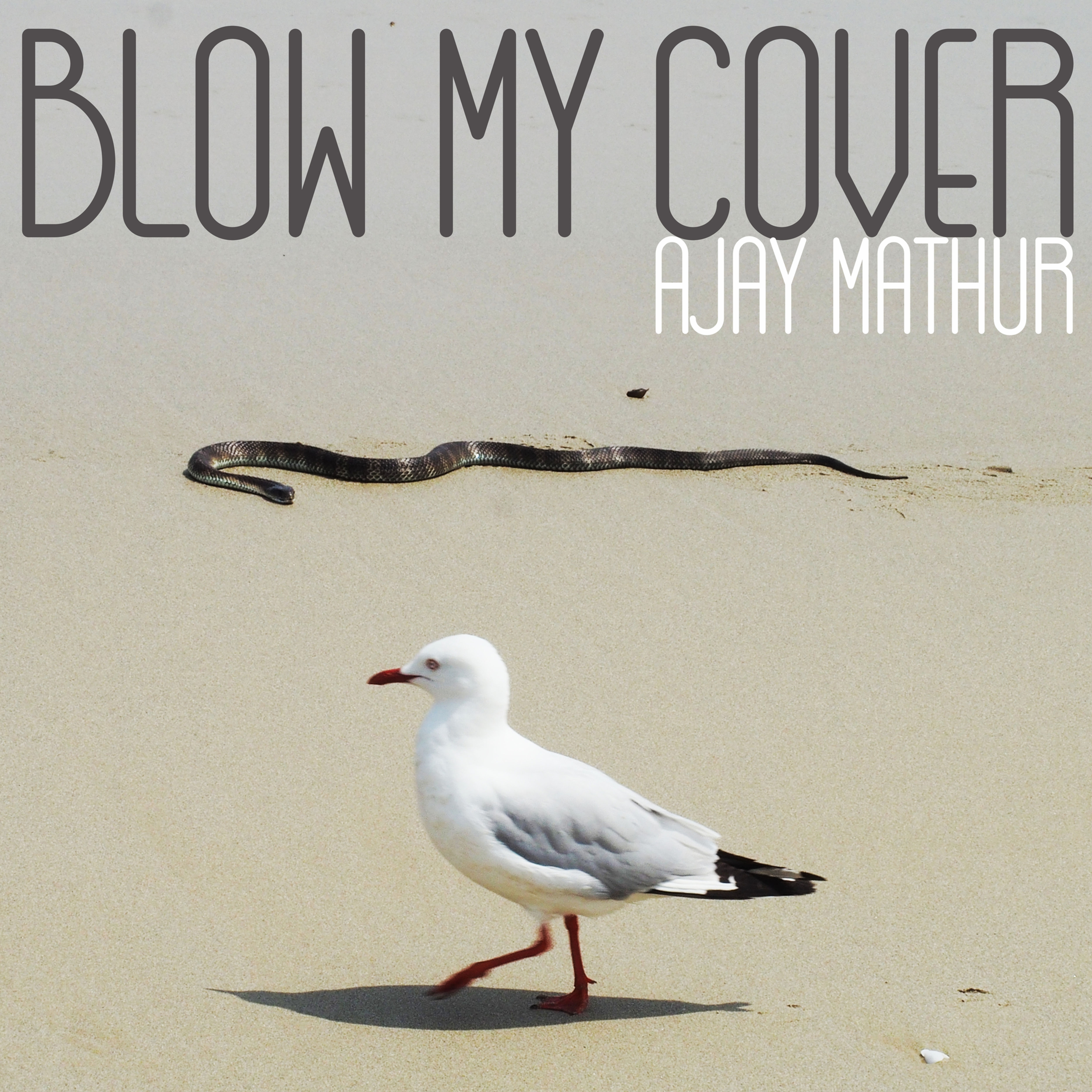 "Blow My Cover" CD
