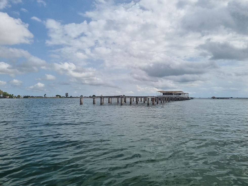 Muschelzucht Delta Ebro