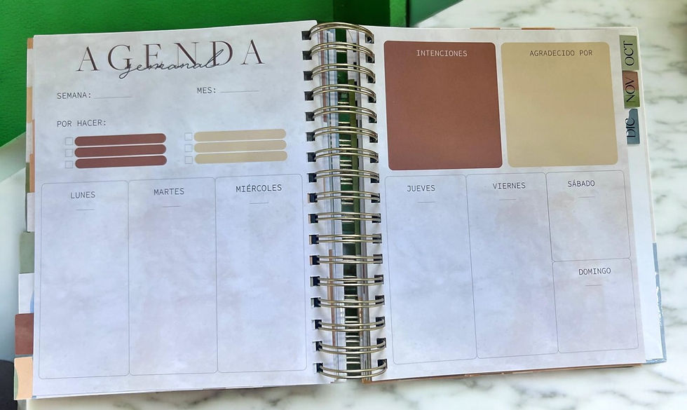 Miniatura: My Happy Marriage Planner