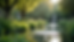 Eye-level view of a serene garden with a small water fountain surrounded by lush greenery