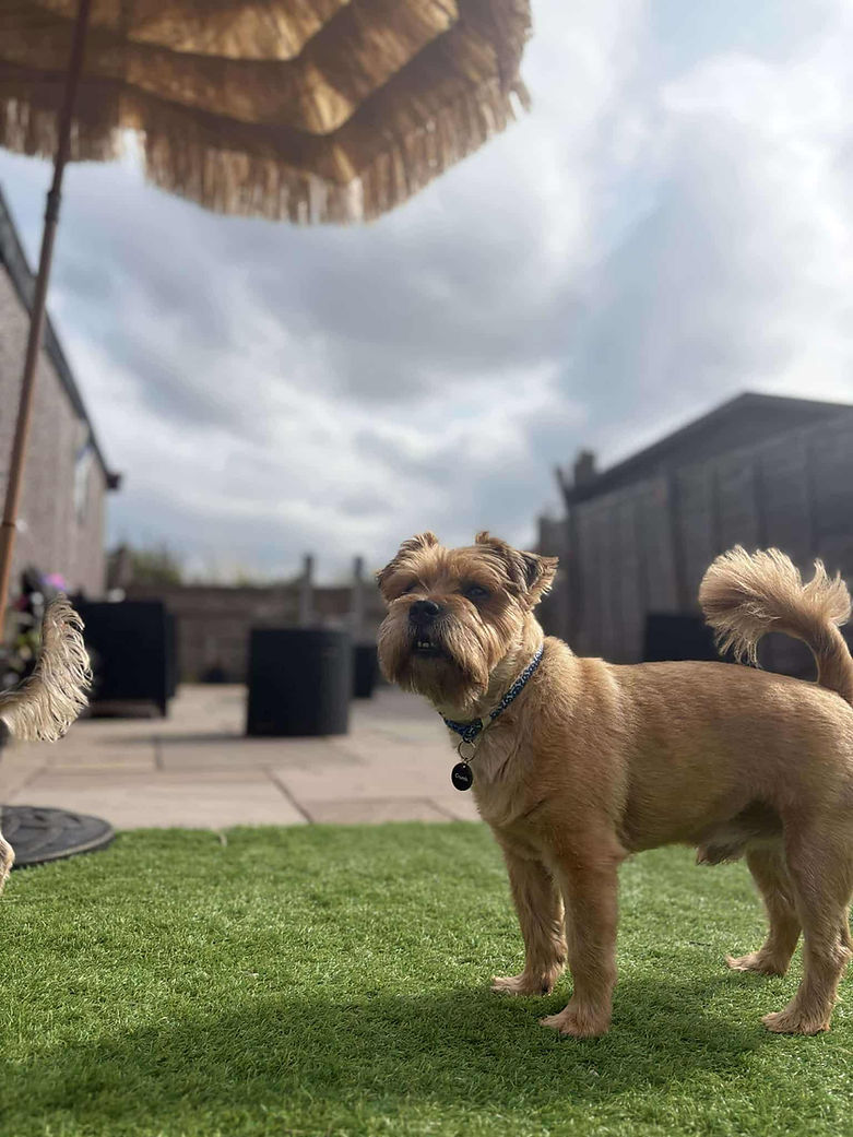 Sammie and Lucy 2.jpeg