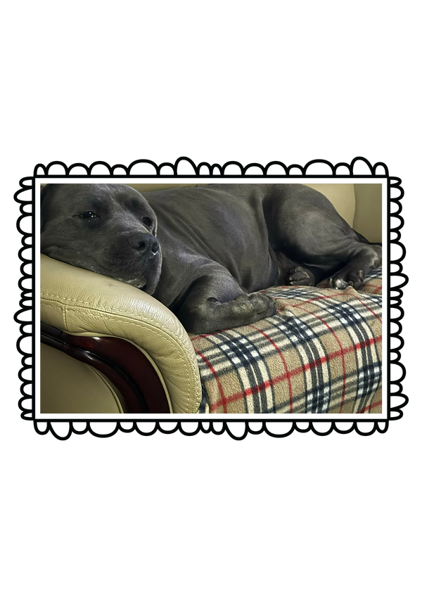 Coco was a long standing resident of Ash's Sanctuary. She lived life on her terms here wit