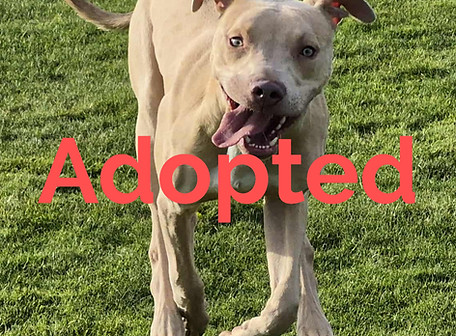 Messenger_creation_DF9CD27A-9991-464B-9B