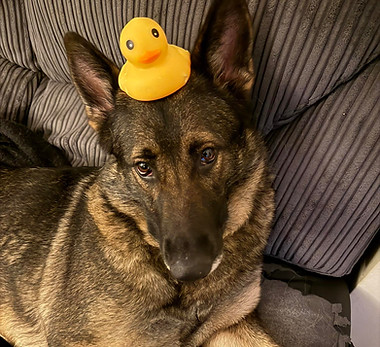 Ducky Luna_edited.jpg