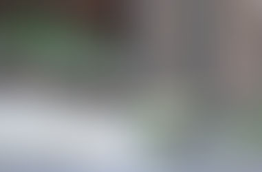 2025年9月21日日曜日『今年の夏…(´・ω・`)』1/3