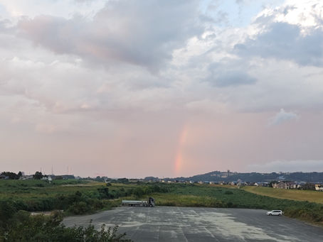 2025年10月16日木曜日『レモン🍋宙を飛ぶ🌠🦸』