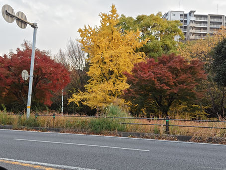 2025年12月8日月曜日『注目👀足元👣フットケア🫧🧼🪥』No.6