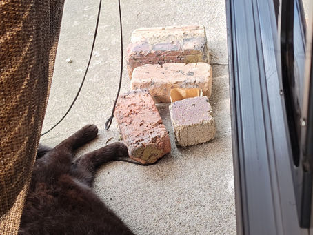 2025年7月26日月曜日『貴方のための…《枕》🛏️』No.10