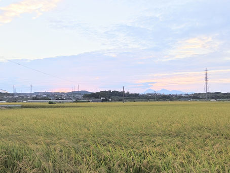 2025年10月1日水曜日『何度も😣悩む🥲・口内炎😩』No.1