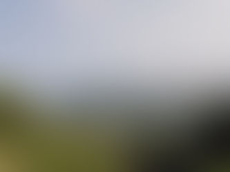 2025年10月29日水曜日『しょって🧗歩こう👱🤩👤』No.2