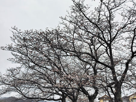 2026年4月3日金曜日『フットケア🧼🪥🫧』其の参∼オマケ編∼