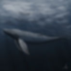 未命名作品 2.JPG