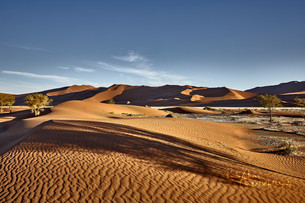 Dunes-8.jpg