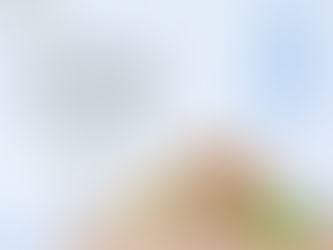 Enjoy our delicious Chicken & Swiss