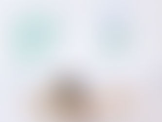 SUSHI + WATER AT GREEN PANDA