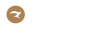 Zed Zed Eye Logo
