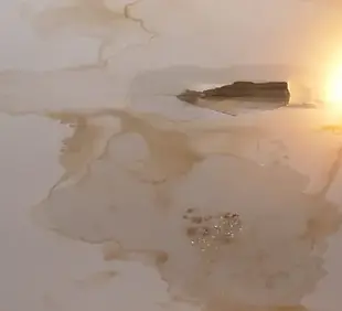filing-a-roof-leak-ceiling-damage.webp
