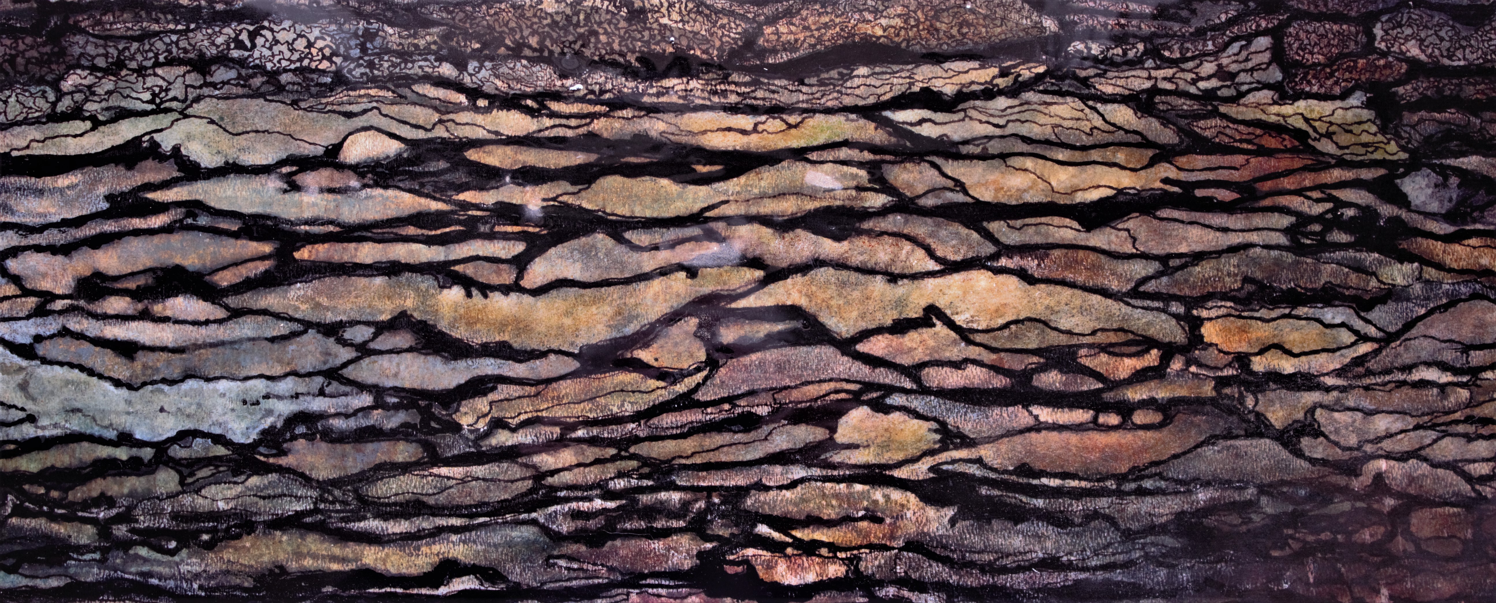 Écorce ombrée (2017)