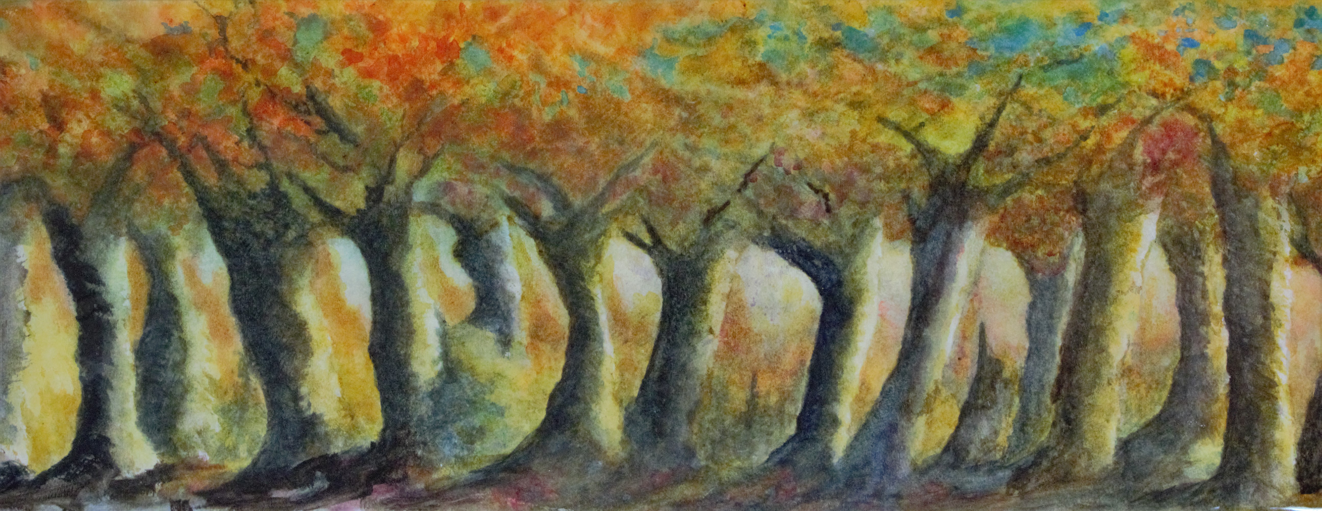 La clairière à Mireille (2016)