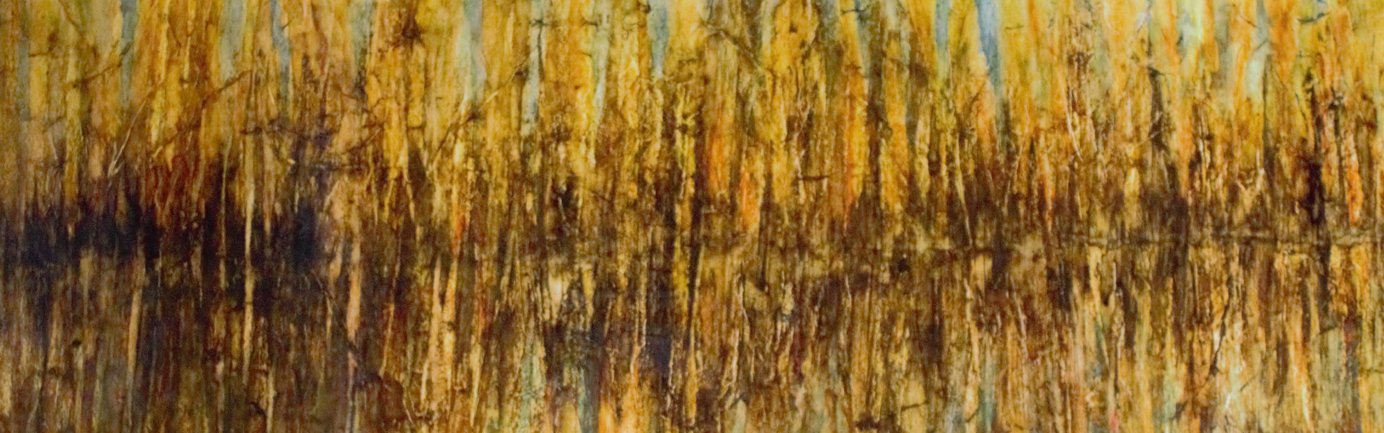 Reflets du marais (2017)