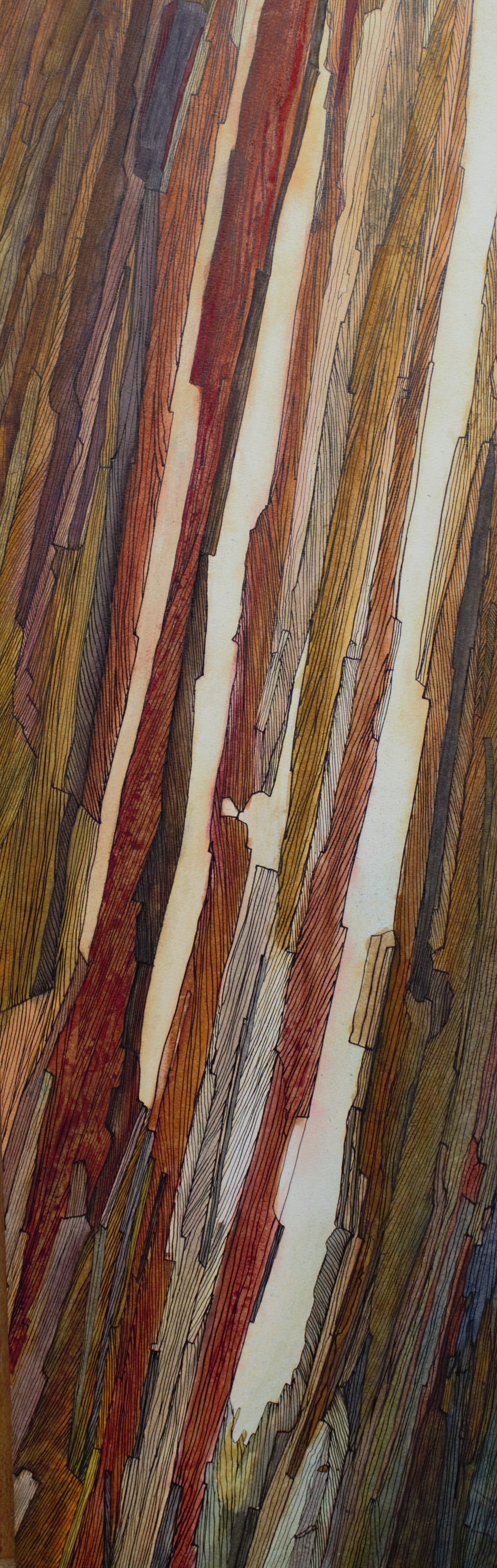Fracture madelinienne (2018)
