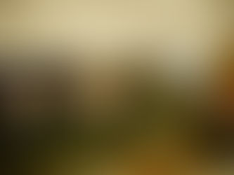 Enhance Outdoor Celebrations with Marquees and Festival Decor