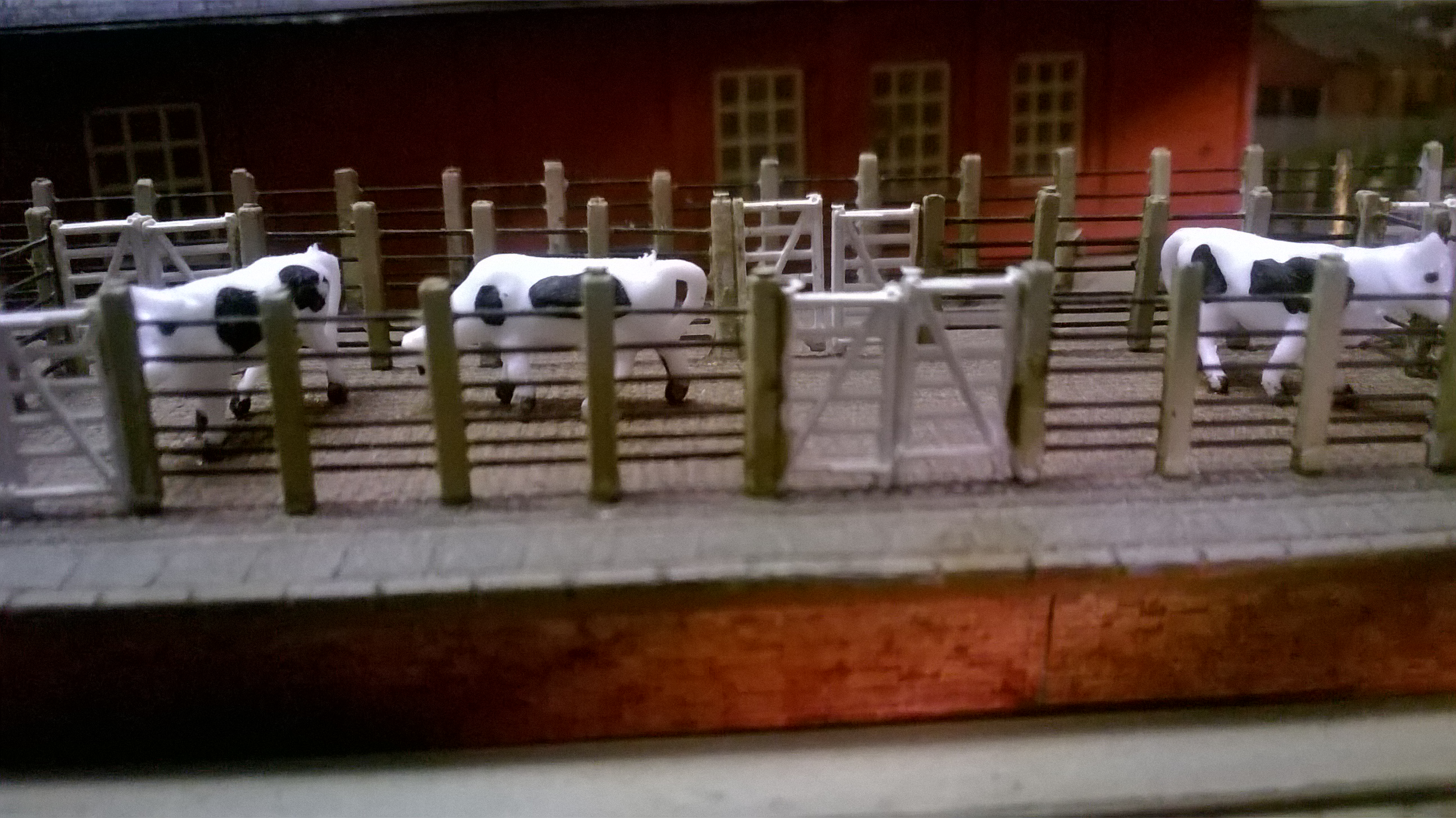 Cattle pens