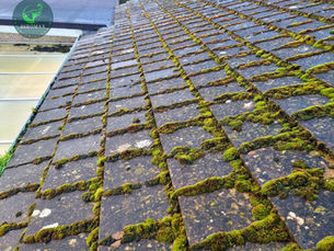 What to Expect from a Professional Roof Cleaning Service in North Wales