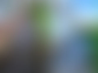 Dealing with Slippy Walkways: Tips for Moss and Algae Removal in Anglesey, Gwynedd, and North Wales