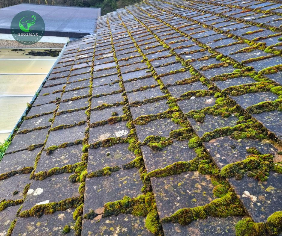 Eye-level view of a roof covered in moss and debris