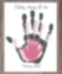 pasted image 0 (2).png