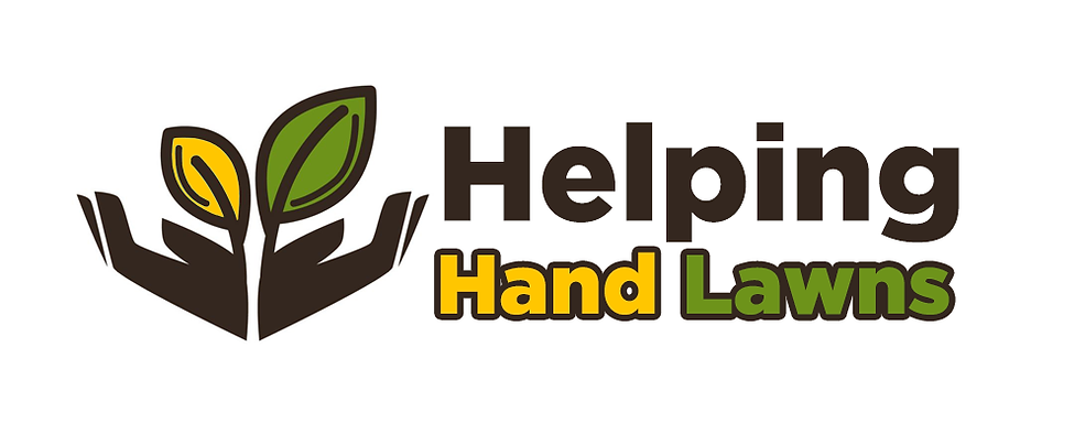 logo2 (1).png