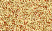 1023