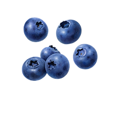 purepng.webp