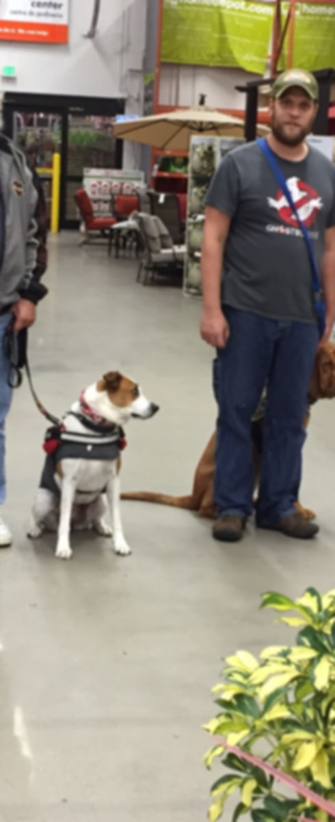 Veteran's Training Program