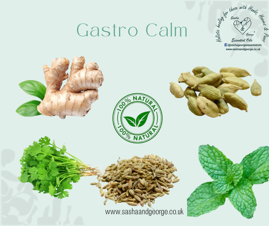 Thumbnail: Gastro Calm Blend -Canine