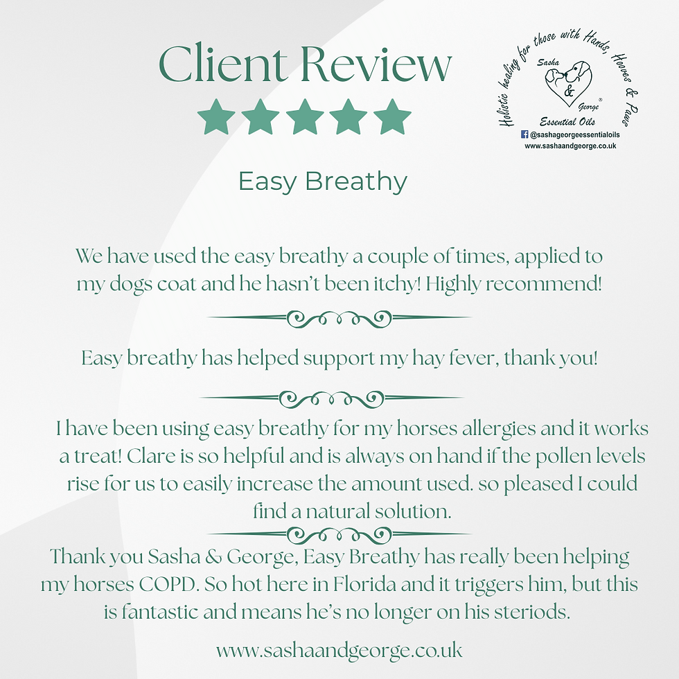 Thumbnail: Easy Breathy Blend -Equine