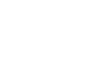 Vector (1).png