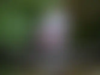 How to Protect Your Garden in the Rainy Season