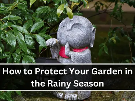 How to Protect Your Garden in the Rainy Season